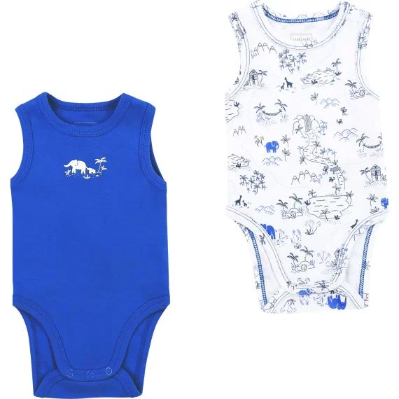 Lot de 2 bodys Garçon Bleu