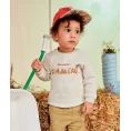image de pull bébé